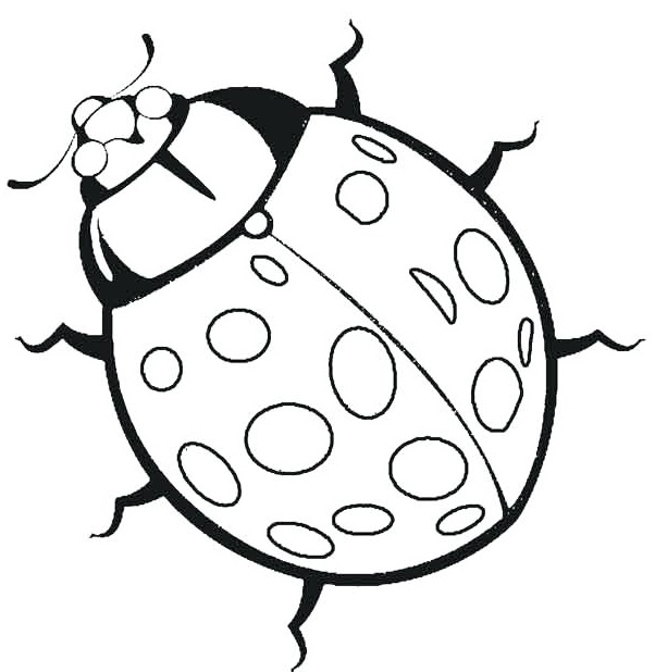 Ladybug Coloring Pages for Preschoolers, kids,no print, free