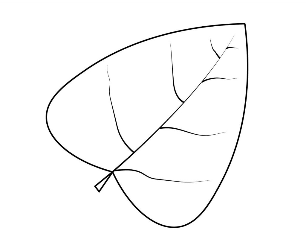 Leaf Coloring Page For Toddlers