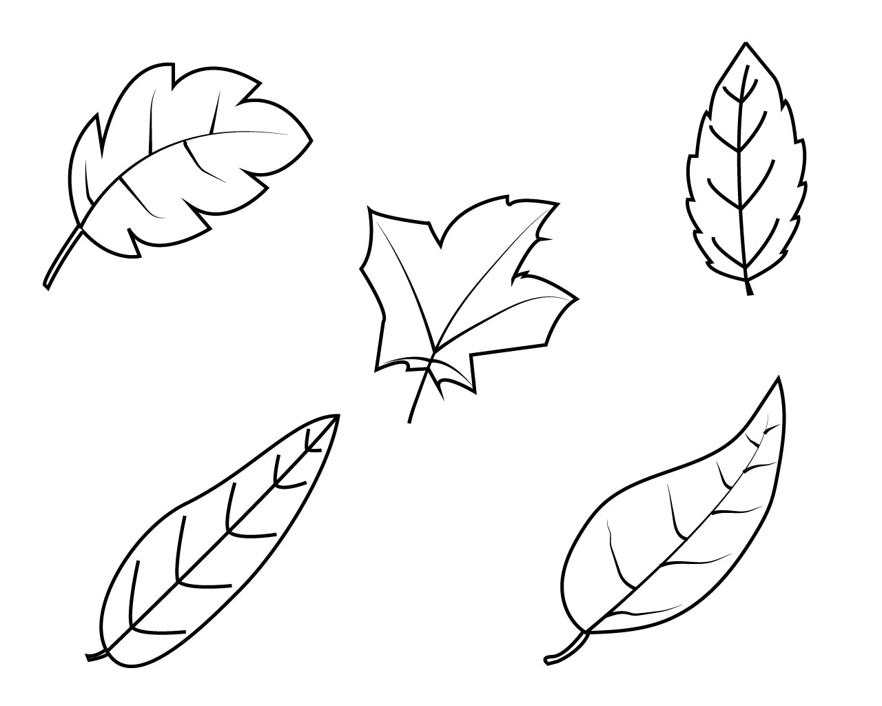 Leaf Coloring Pages For Kids Kindergarten