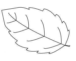 Leaf Coloring Pages For Kids Kindergarten – Free Coloring Pages for Kids