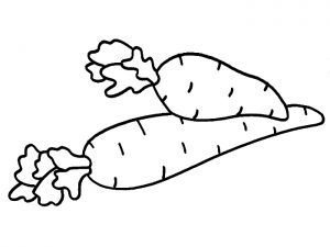 2 carrot Vegetable coloring pages