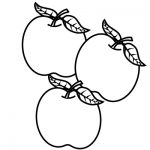 3 Apples coloring pages