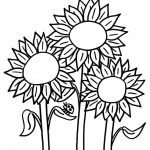 3 Sunflower coloring pages