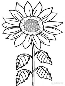Beautiful sunflower coloring pages