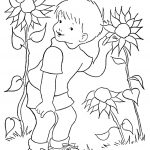 Boy and Sunflower coloring pages