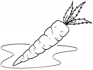 Carrot Vegetable coloring pages