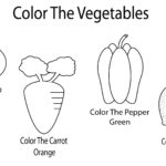 Color The Vegetables