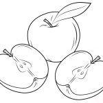Half apple coloring pages