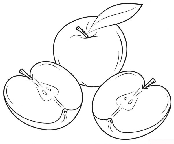 Half apple coloring pages – Free Coloring Pages for Kids