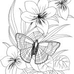Lily flowers and Butterfly Coloring Pages
