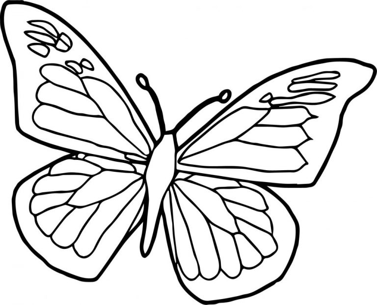 Monarch Butterfly Coloring Pages – Free Coloring Pages for Kids