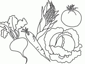 Simple Vegetable coloring pages