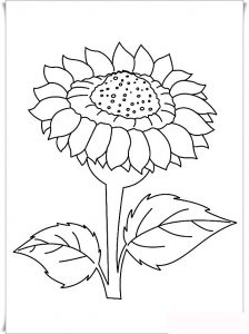 Single Sunflower coloring pages