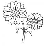 Sunflower coloring pages printable