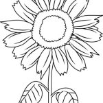Sunflower coloring pages to Print