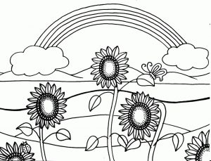 Sunflower coloring pages with rainbow