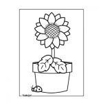 Sunflower in pot coloring pages