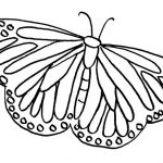 The Widespread Forester Butterfly coloring pages
