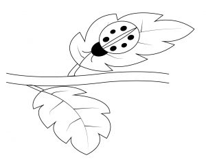 Free Ladybug Coloring Pages