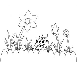 Ladybug Coloring Pages for Kids