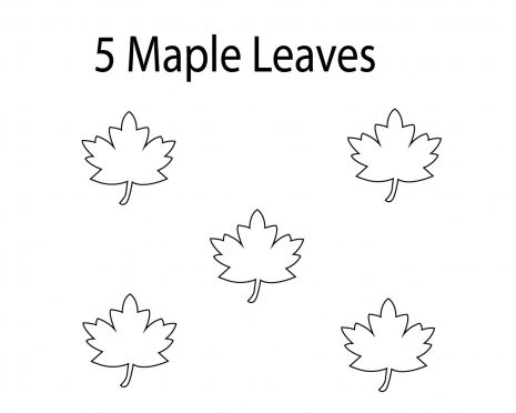Best Maple Leaf Coloring Pages – Free Coloring Pages for Kids