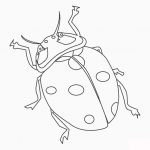 Realistic Ladybug Coloring Pages