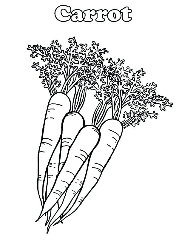 Carrot Coloring Pages Free Printable, for kids and preschooler