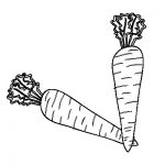 Red carrot coloring pages