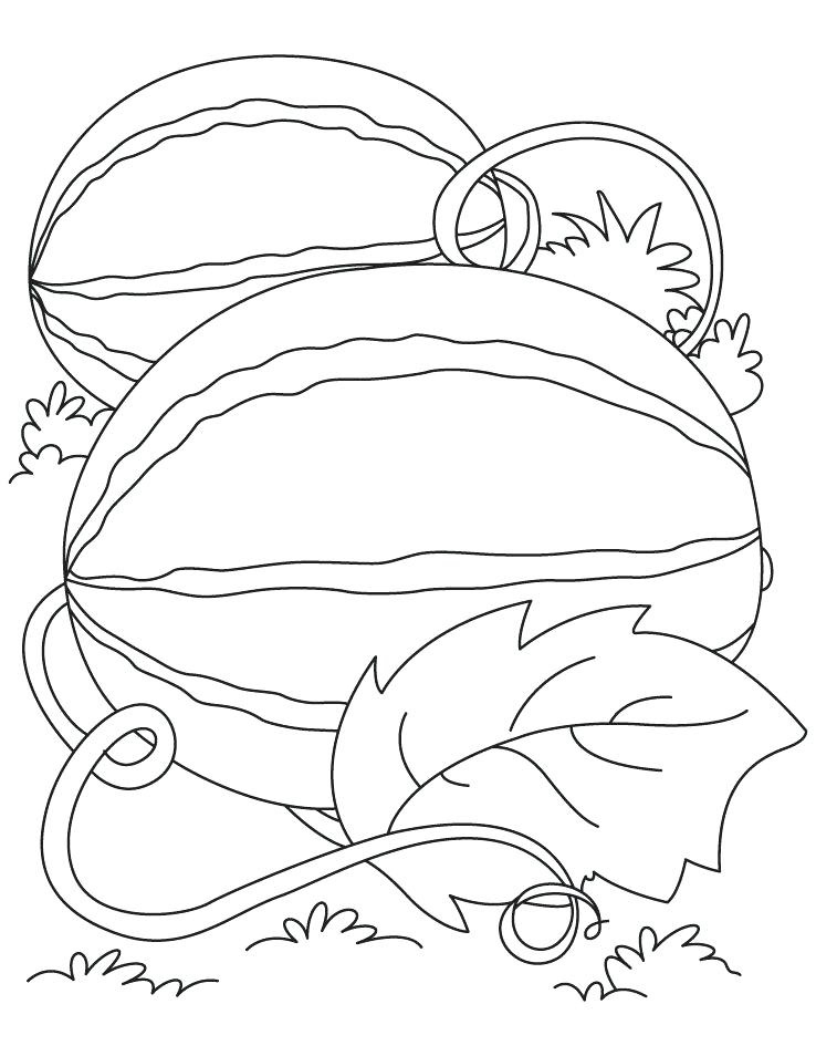 Watermelon Coloring Pages To Print