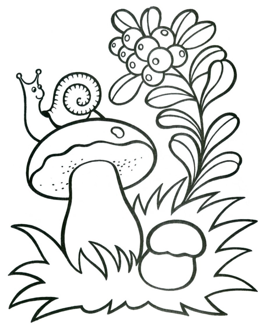 Printable Mushroom Coloring Pages Customize And Print