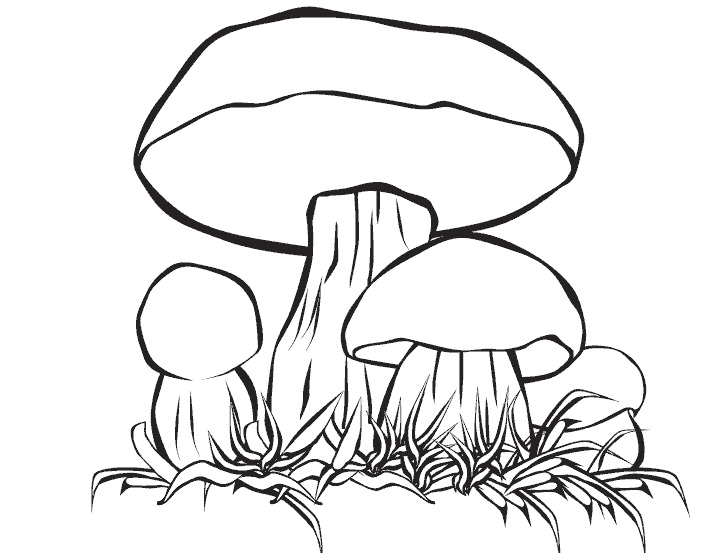 Mushroom Coloring Pages Free