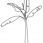 Banana Tree Coloring Pages