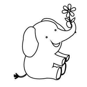 Baby elephant with flower