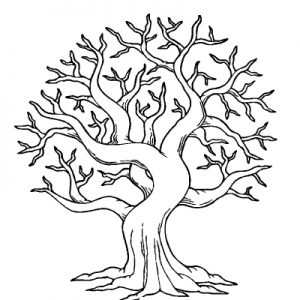 Bare Tree Coloring Pages