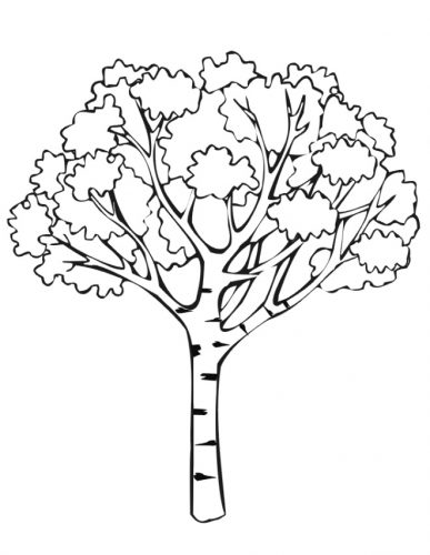 Mango Tree Coloring Pages – Free Coloring Pages for Kids