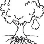 Tree Coloring Pages printable
