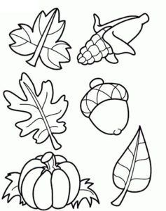 fall fruits and vegetables coloring pages