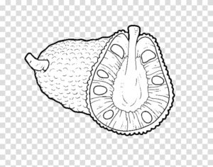 jackfruit coloring Pages