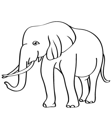 elephant coloring pages printable free