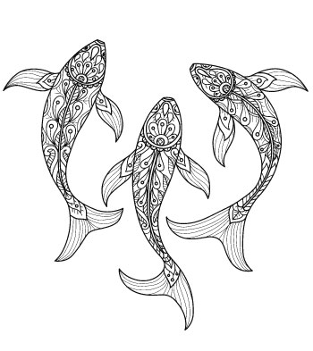fish coloring picture